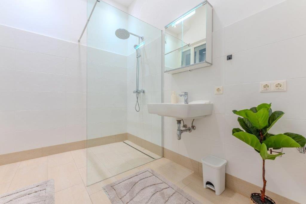Deluxe Apartments Near The Center クレムス アン デル ドナウ エクステリア 写真